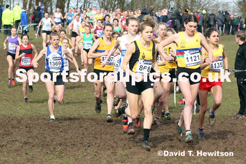 Senior women, 2020 British Athletics Inter Counties Cross Country Champs., Prestwold Hall, Loughborough. Photo: David T. Hewitson/Sports for All Pics